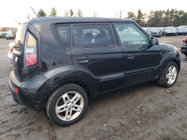 2010 KIA Soul +