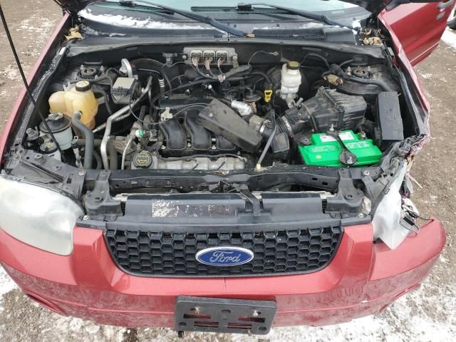 2007 Ford Escape XLT