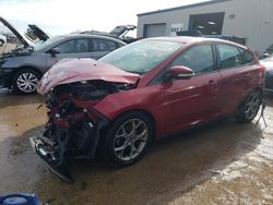 Salvage cars for sale at Elgin, IL auction: 2014 Ford Focus SE