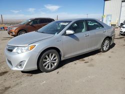 Salvage cars for sale at Albuquerque, NM auction: 2014 Toyota Camry Hybrid