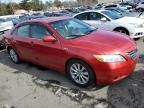 2008 Toyota Camry Hybrid