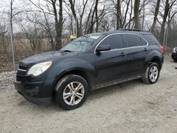 Salvage cars for sale at Cicero, IN auction: 2010 Chevrolet Equinox LT