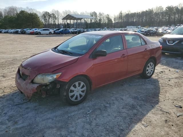 2010 Toyota Corolla Base