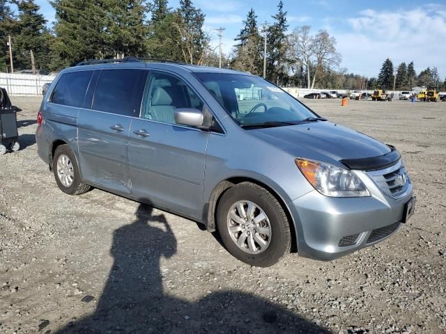 2008 Honda Odyssey EXL