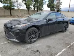 Salvage cars for sale at auction: 2021 Toyota Mirai XLE