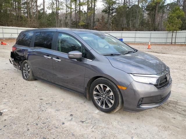 2024 Honda Odyssey EXL