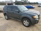 2010 Ford Escape Hybrid