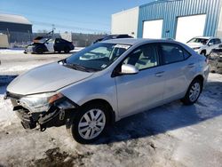 Salvage cars for sale from Copart Elmsdale, NS: 2016 Toyota Corolla L