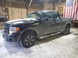 Ford salvage cars for sale: 2013 Ford F150 Super Cab