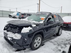 Salvage cars for sale at auction: 2021 Toyota Rav4 XLE