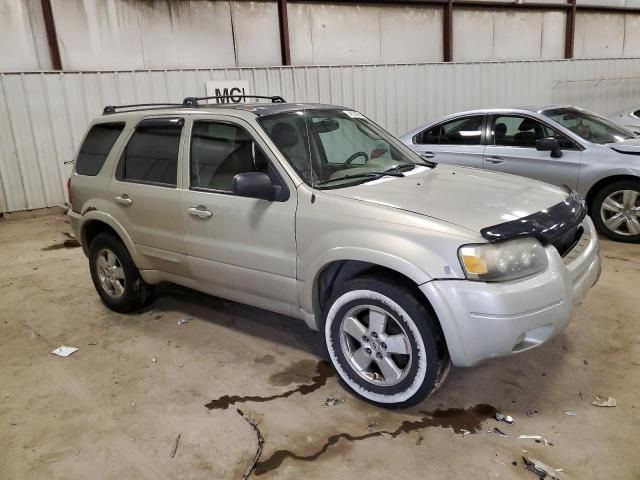 2004 Ford Escape Limited