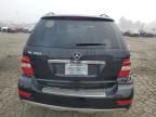 2010 Mercedes-Benz ML 350