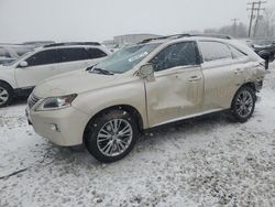 Lexus salvage cars for sale: 2013 Lexus RX 350