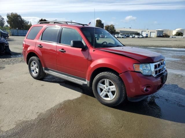 2009 Ford Escape XLT