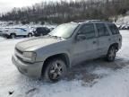 2005 Chevrolet Trailblazer LS