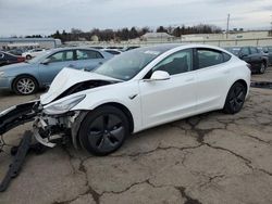 Salvage cars for sale at Pennsburg, PA auction: 2019 Tesla Model 3