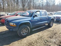 Salvage cars for sale from Copart Baltimore, MD: 2003 Dodge Dakota Quad Sport