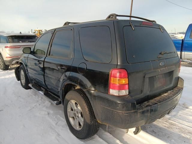 2005 Ford Escape XLT