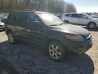 2007 Hyundai Santa FE SE