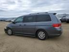 2010 Honda Odyssey EX