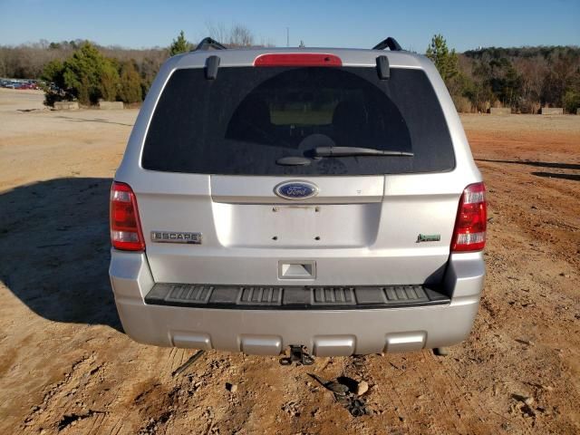 2012 Ford Escape XLT