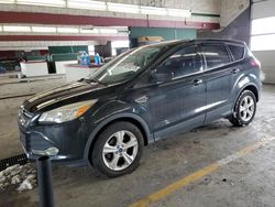 Salvage cars for sale at Dyer, IN auction: 2015 Ford Escape SE