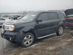 2013 Honda Pilot EXL