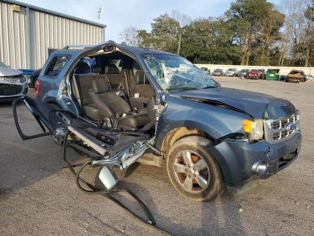 2011 Ford Escape Limited