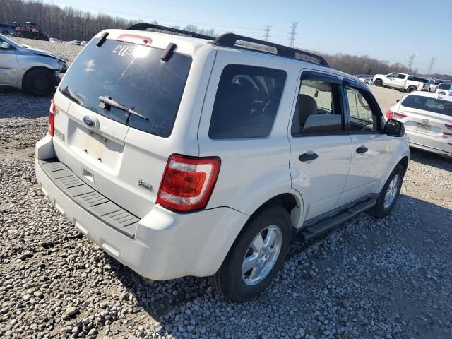 2010 Ford Escape XLT