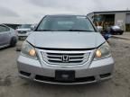 2010 Honda Odyssey EXL