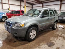 SUV salvage a la venta en subasta: 2005 Ford Escape XLS