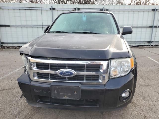 2009 Ford Escape XLT