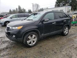 Salvage cars for sale at Graham, WA auction: 2013 KIA Sorento EX