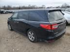 2019 Honda Odyssey EXL