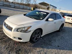 Salvage cars for sale at Spartanburg, SC auction: 2013 Nissan Maxima S