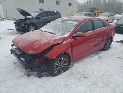 Salvage cars for sale from Copart Cookstown, ON: 2023 KIA Forte EX