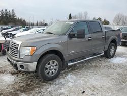 Salvage cars for sale from Copart Bowmanville, ON: 2012 Ford F150 Supercrew