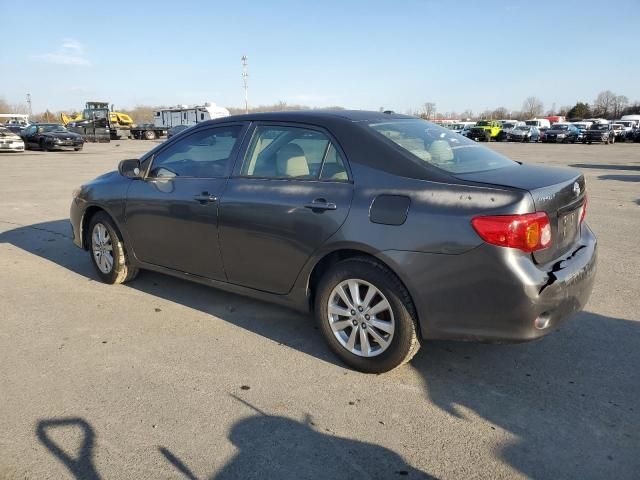 2010 Toyota Corolla Base