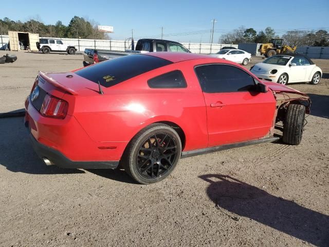 2010 Ford Mustang