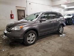 2010 Honda CR-V EXL en venta en Ham Lake, MN