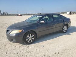 Salvage cars for sale at New Braunfels, TX auction: 2011 Toyota Camry Base