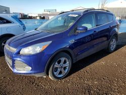 2014 Ford Escape SE en venta en Rocky View County, AB