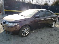 Salvage cars for sale at Waldorf, MD auction: 2010 KIA Forte EX