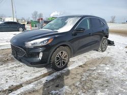 Salvage cars for sale at Pekin, IL auction: 2022 Ford Escape SEL