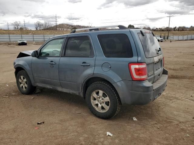 2011 Ford Escape Limited