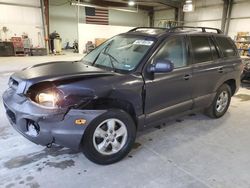 Salvage cars for sale at Greenwood, NE auction: 2006 Hyundai Santa FE GLS