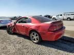 2000 Ford Mustang