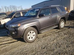 Salvage cars for sale at Spartanburg, SC auction: 2023 Toyota 4runner SR5