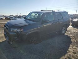 Salvage cars for sale at Eugene, OR auction: 2019 Toyota 4runner SR5