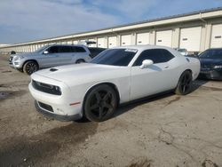 Dodge Challenger salvage cars for sale: 2021 Dodge Challenger R/T